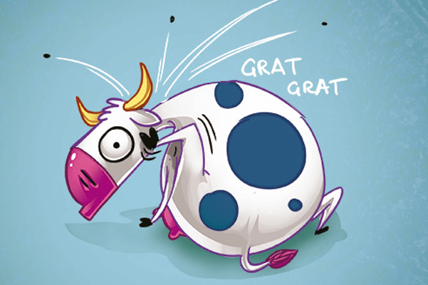 Attention, les puces sont de retour sur Caen !