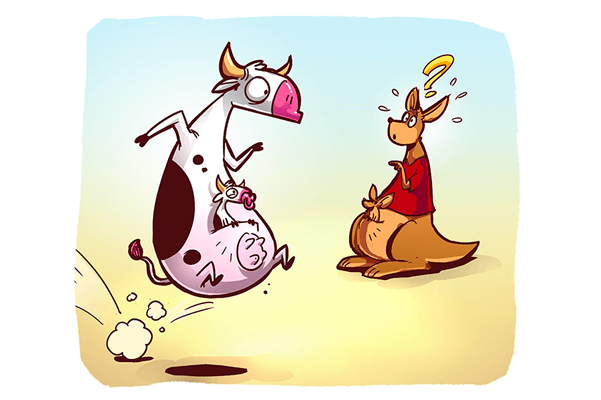 Walibi, un parc d&rsquo;attraction qui sait rebondir !