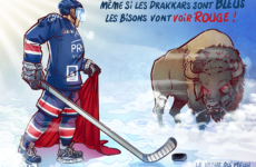 Drakkars contre Bisons